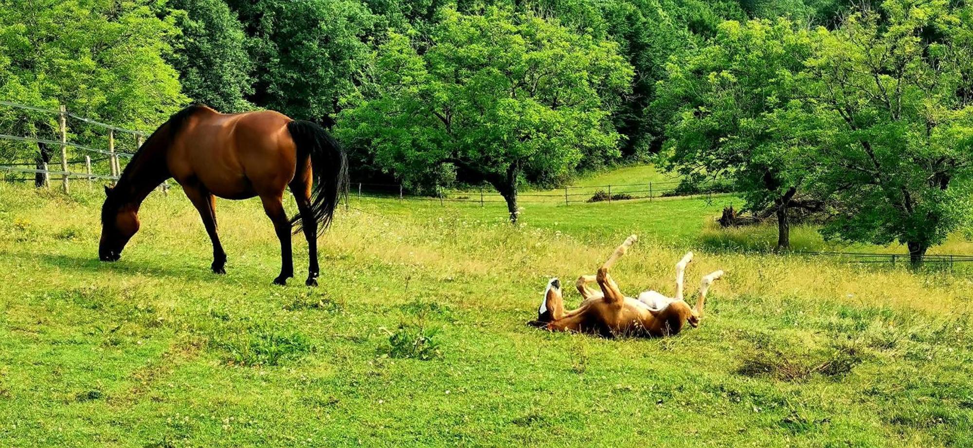 Domaine De La Rhonie Hotel Meyrals ภายนอก รูปภาพ
