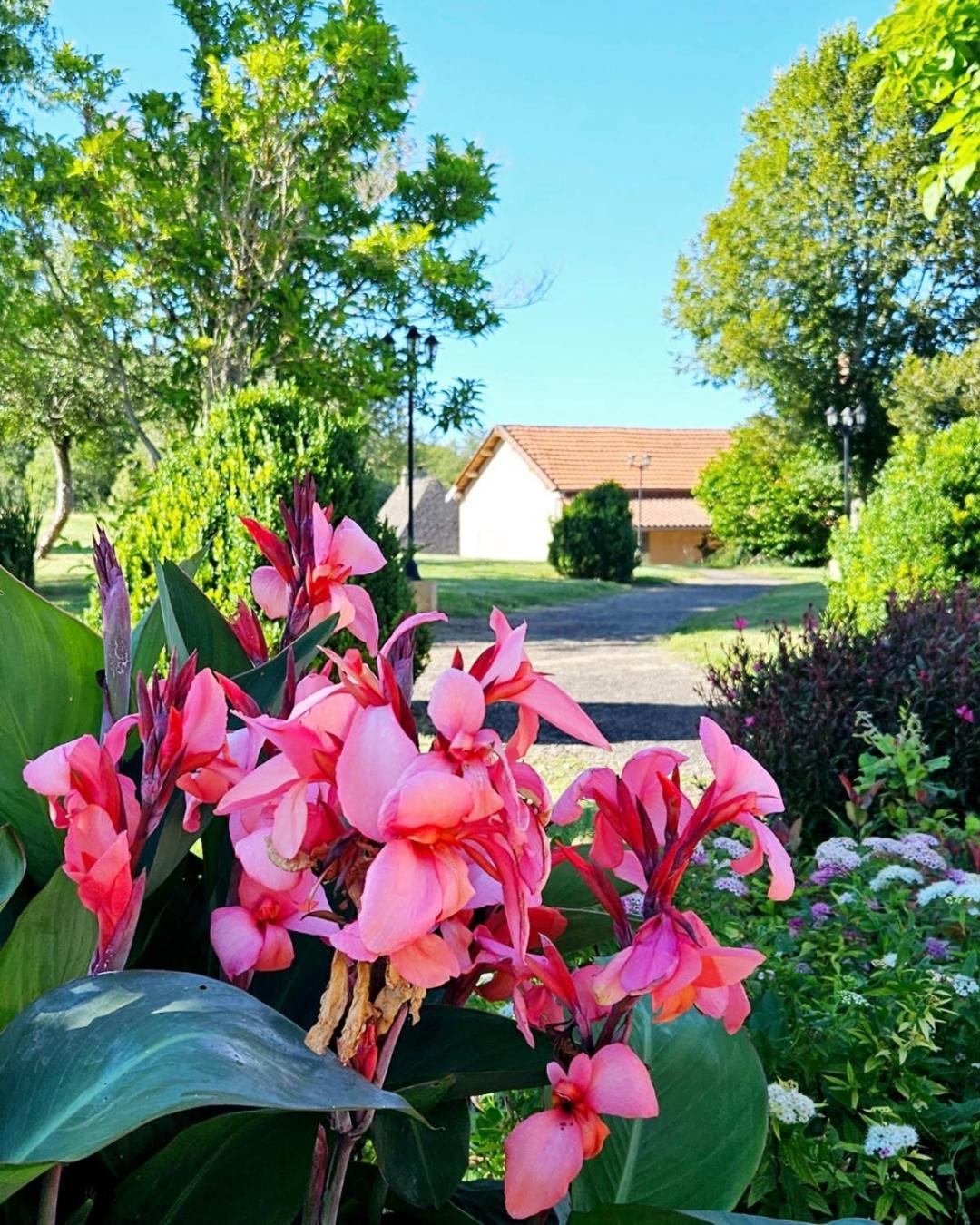 Domaine De La Rhonie Hotel Meyrals ภายนอก รูปภาพ